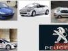 Peugeot  206 SW-CC-PLUS-SEDAN-XS- Kompletan Auto U Delovima
