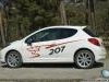 Peugeot  207  Kompletan Auto U Delovima