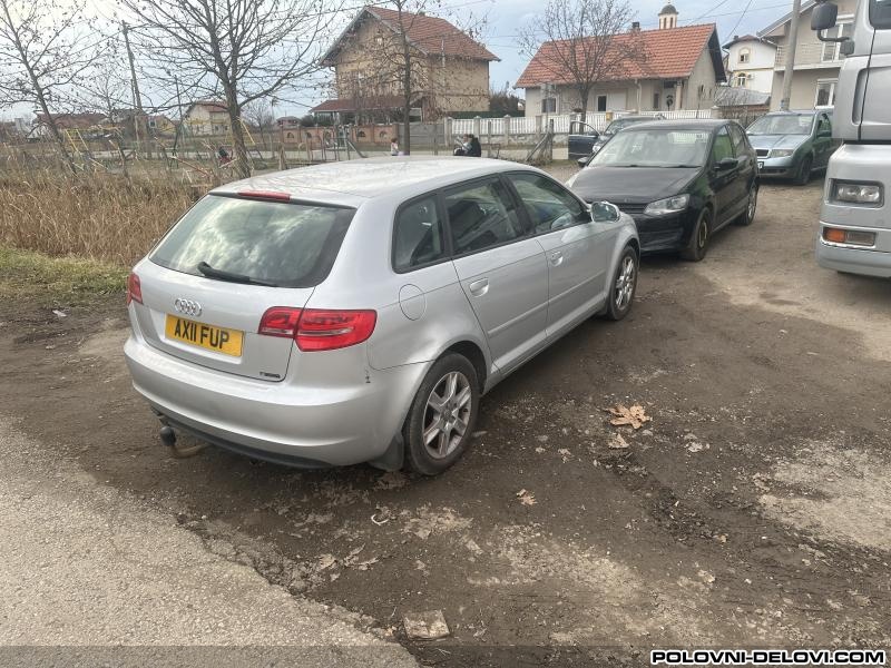 Audi  A3 1.6 Tdi Prenosni Sistem