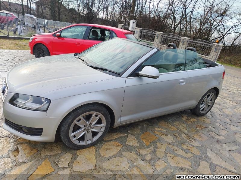 Audi  A3 1.6TDI 1.9BLS 2.0TDI Kompletan Auto U Delovima