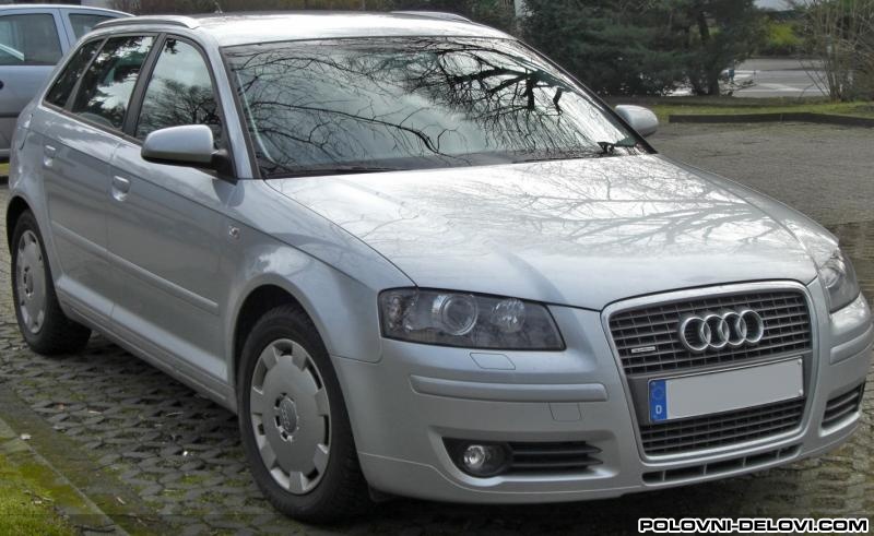 Audi  A3 1.9 TDI. 2.0 TDI Kompletan Auto U Delovima