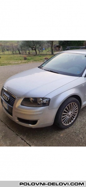 Audi  A3 19 .20 Tdi Kompletan Auto U Delovima