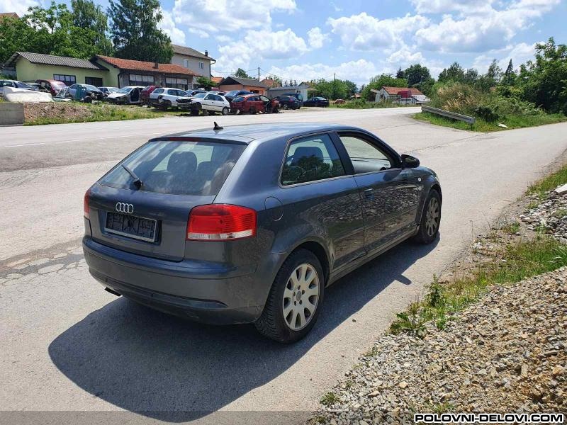 Audi  A3 2.0 TDI 1.9 TDI Kompletan Auto U Delovima