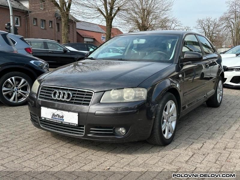 Audi  A3 2.0 Tdi  Kompletan Auto U Delovima