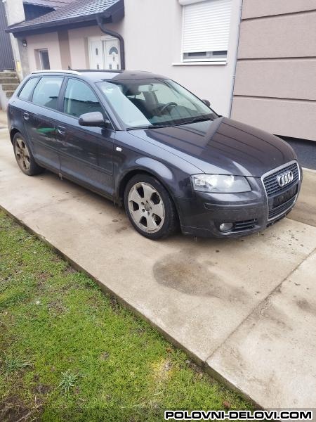 Audi  A3 2.0 Tdi Kompletan Auto U Delovima