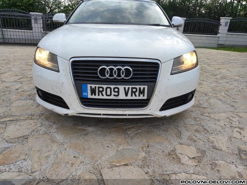 Audi  A3 2.0tdi 1.6tdi 1.9bls Kompletan Auto U Delovima