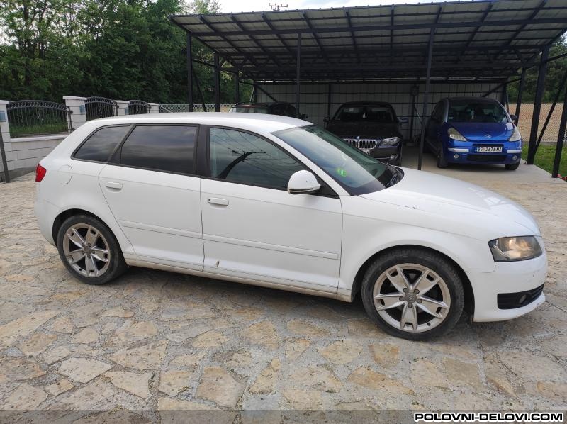 Audi  A3 2.0tdi Cr Kompletan Auto U Delovima