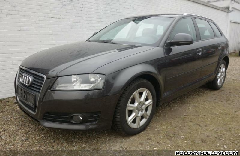 Audi  A3 2.0tdi Izduvni Sistem