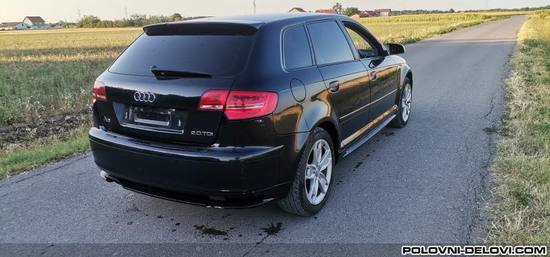 Audi  A3 2.0tdi  Kompletan Auto U Delovima