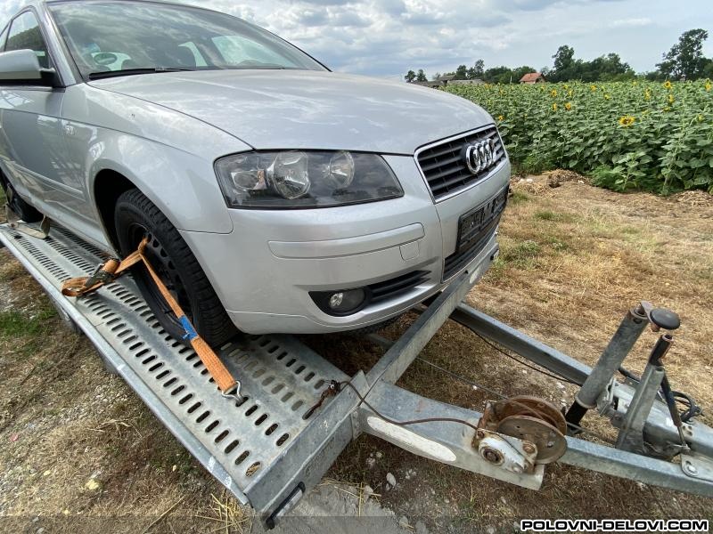 Audi  A3 2.0tdi Kompletan Auto U Delovima