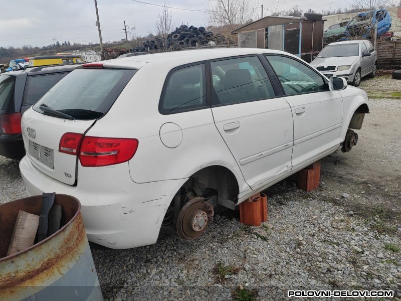 Audi  A3 8p 1.6 Tdi  Kompletan Auto U Delovima