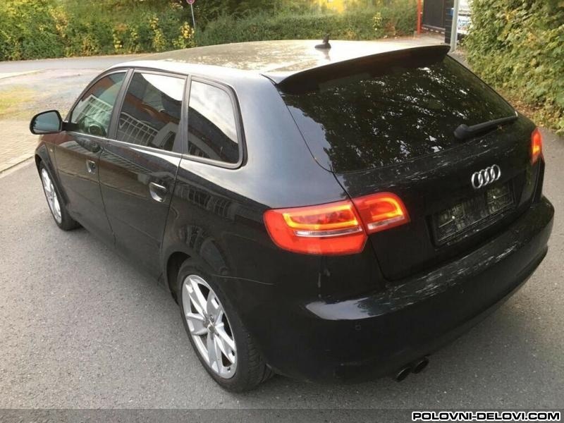 Audi  A3 8p 1.9tdi Bls Razni Delovi