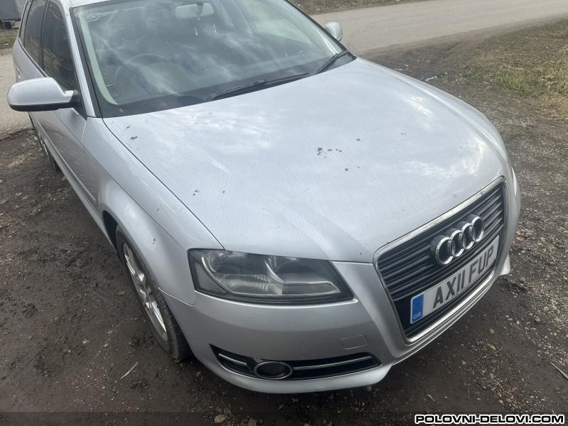 Audi  A3 8p Amortizeri I Opruge