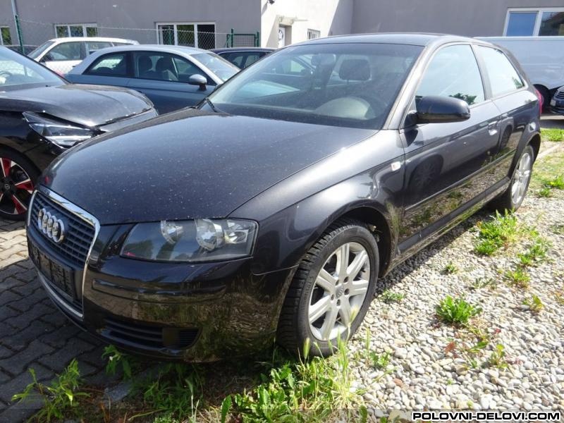 Audi  A3 8p Elektrika I Paljenje