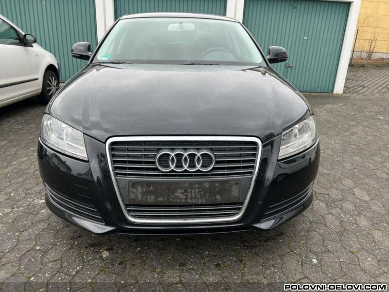Audi  A3 8p Enterijer
