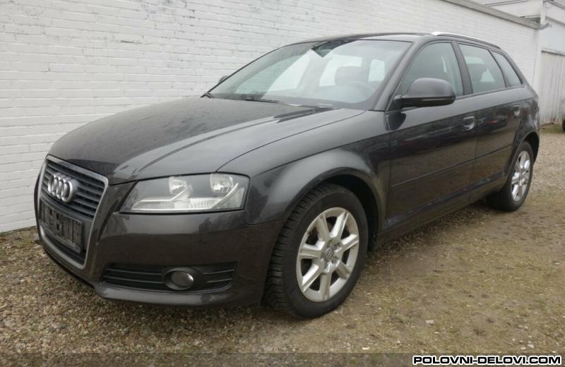 Audi  A3 8p Face Lift Stakla