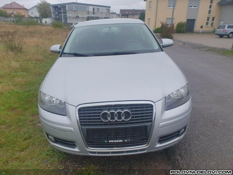 Audi  A3 8p Karoserija