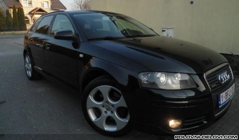 Audi  A3 8p Karoserija