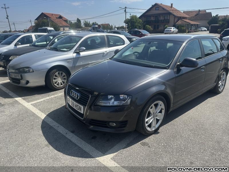 Audi  A3 8p Karoserija