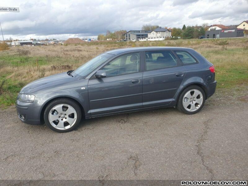 Audi  A3 8p  Svetla I Signalizacija