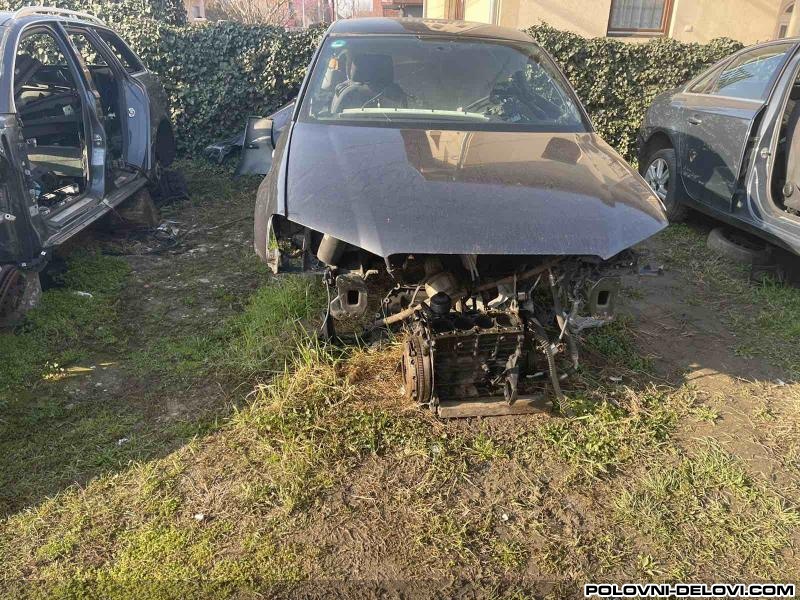 Audi  A3 8p Trap I Vesanje