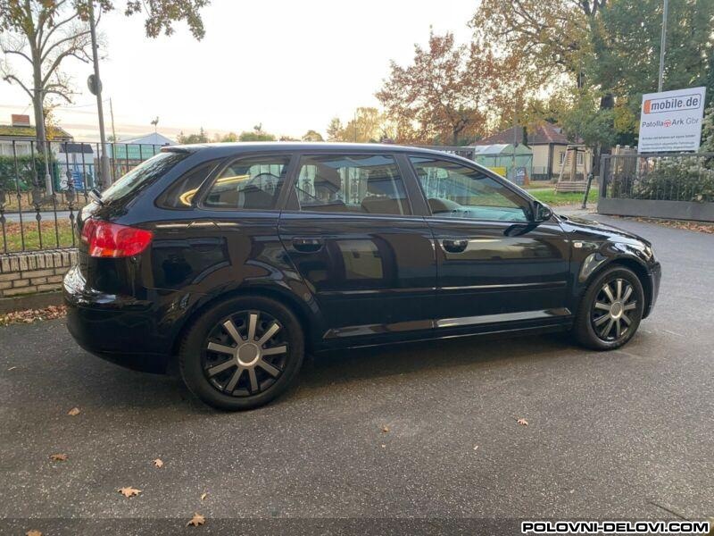 Audi  A3 8p Trap I Vesanje