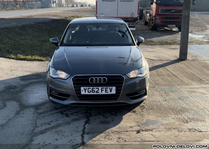 Audi  A3 8v Trap I Vesanje