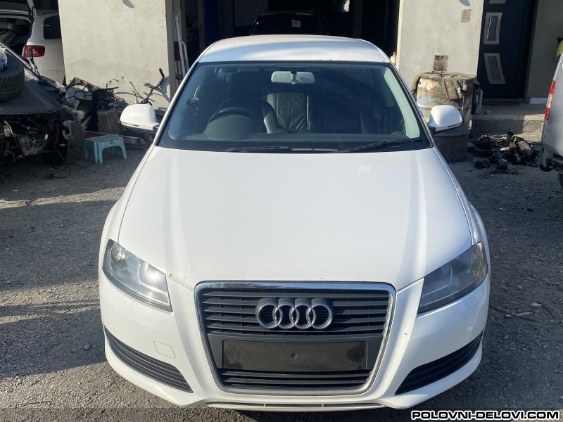 Audi  A3 Hauba Karoserija