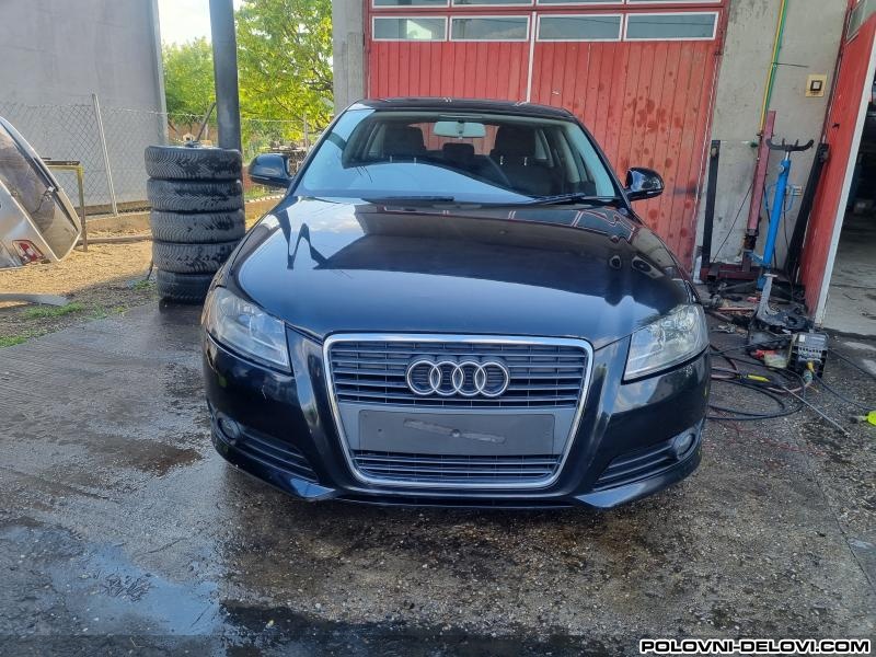 Audi  A3  Karoserija