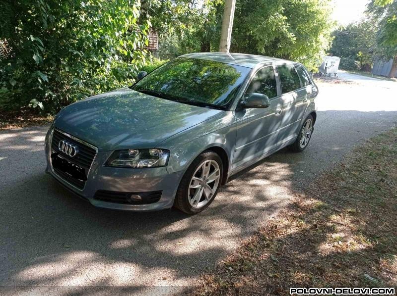 Audi  A3 Krilo Levo Karoserija