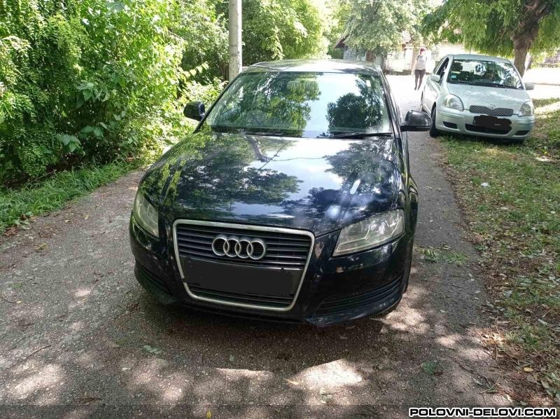 Audi  A3 Plastika Ispod Brisa Razni Delovi
