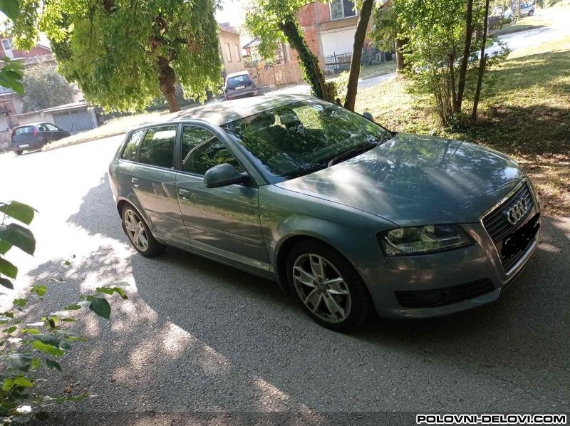 Audi  A3 Prednja Desna Vrata Karoserija