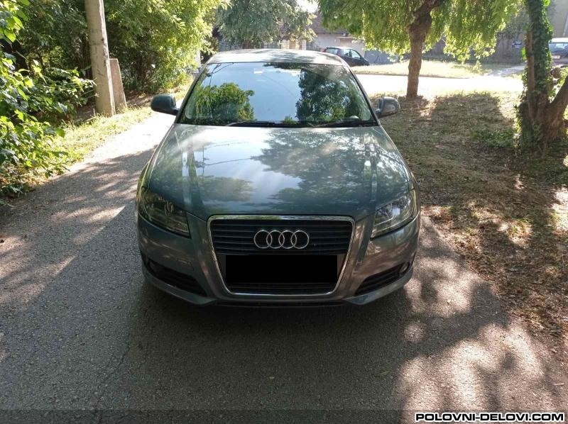Audi  A3 Sina Branika Karoserija
