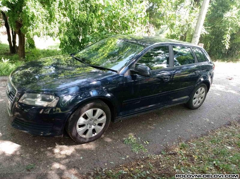 Audi  A3 Spoljne Brave  Karoserija
