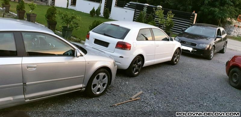 Audi  A3 TANDEM PUMPA 2.0 TDI Motor I Delovi Motora