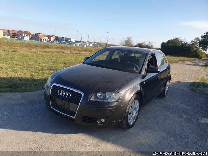 Audi  A3 TDI Kompletan Auto U Delovima