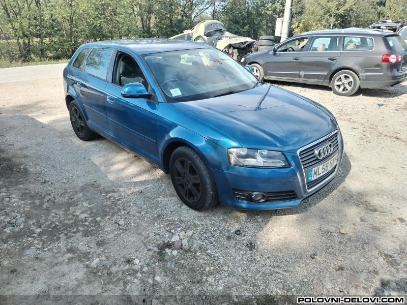 Audi  A3 TDI Kompletan Auto U Delovima