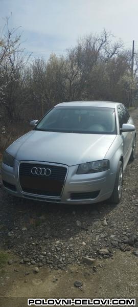 Audi  A3 TDI Kompletan Auto U Delovima