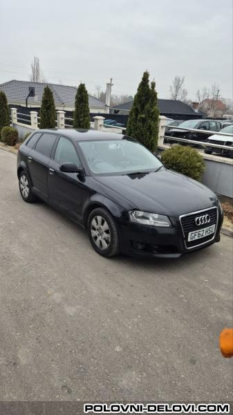 Audi  A3 Tdi Kompletan Auto U Delovima