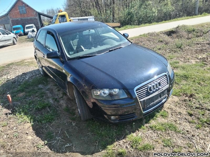 Audi  A3 Tdi Kompletan Auto U Delovima