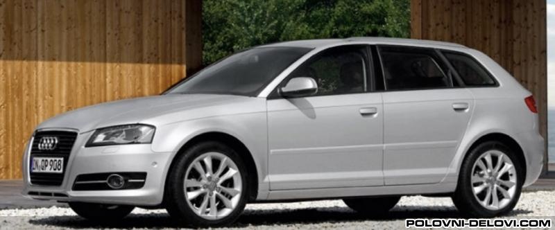 Audi  A3 Tdi Kompletan Auto U Delovima