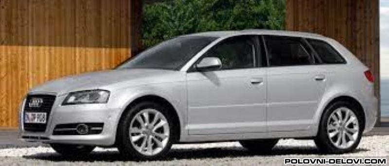 Audi  A3 Tdi Kompletan Auto U Delovima