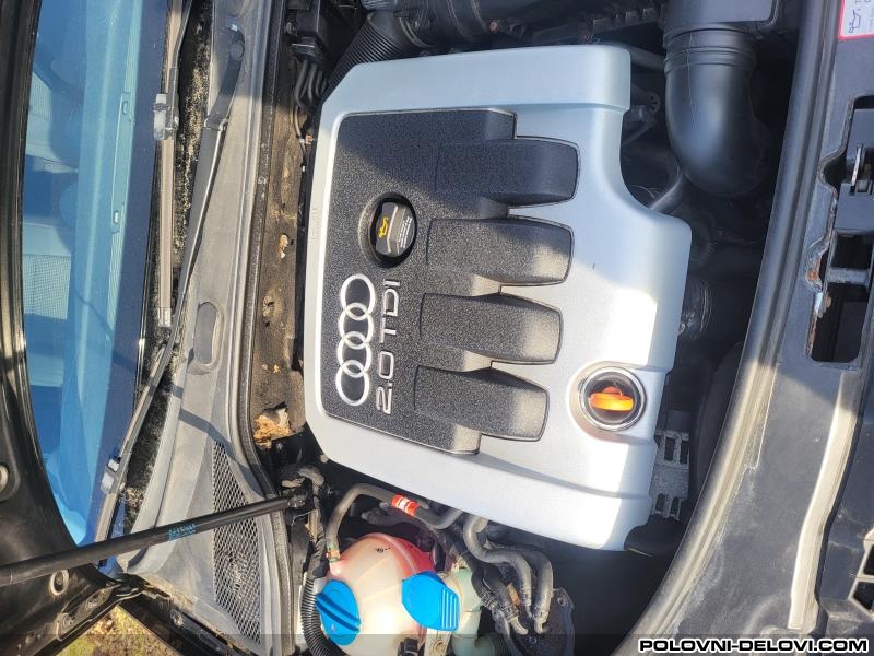 Audi  A3 Tdi Kompletan Auto U Delovima