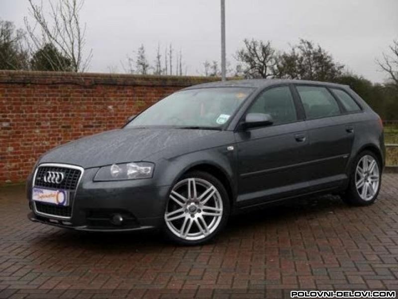 Audi  A3 Tdi Razni Delovi