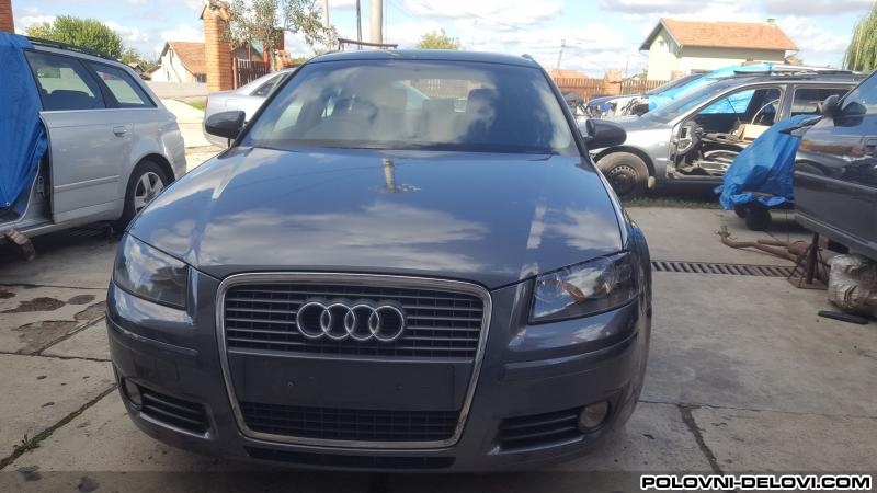 Audi  A4 2.0 Tdi 1.9 Tdi Kompletan Auto U Delovima