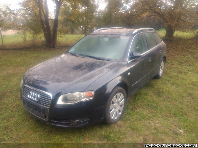 Audi  A4 2.0 Tdi Kompletan Auto U Delovima