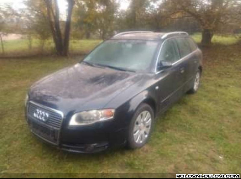 Audi  A4 A4 B7 2.0tdi Kompletan Auto U Delovima