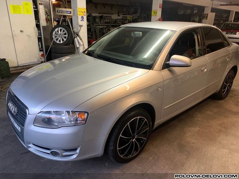 Audi  A4 B7 Amortizeri I Opruge