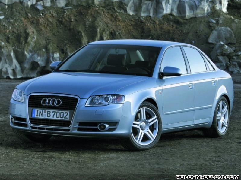 Audi  A4 B7 Trap I Vesanje