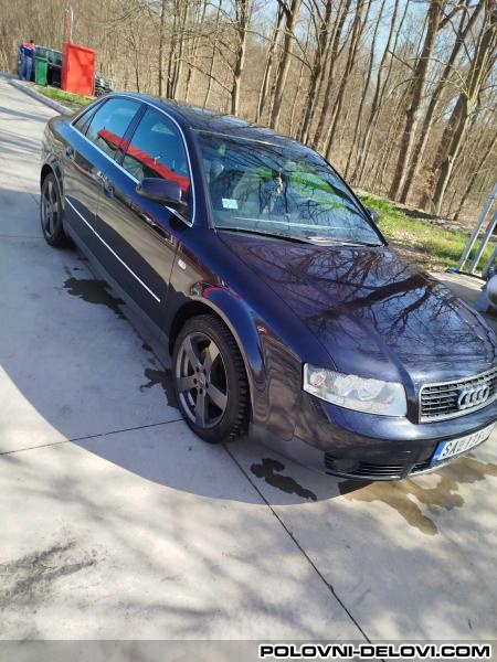 Audi  A4 Tdi Razni Delovi